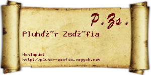 Pluhár Zsófia névjegykártya