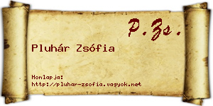 Pluhár Zsófia névjegykártya